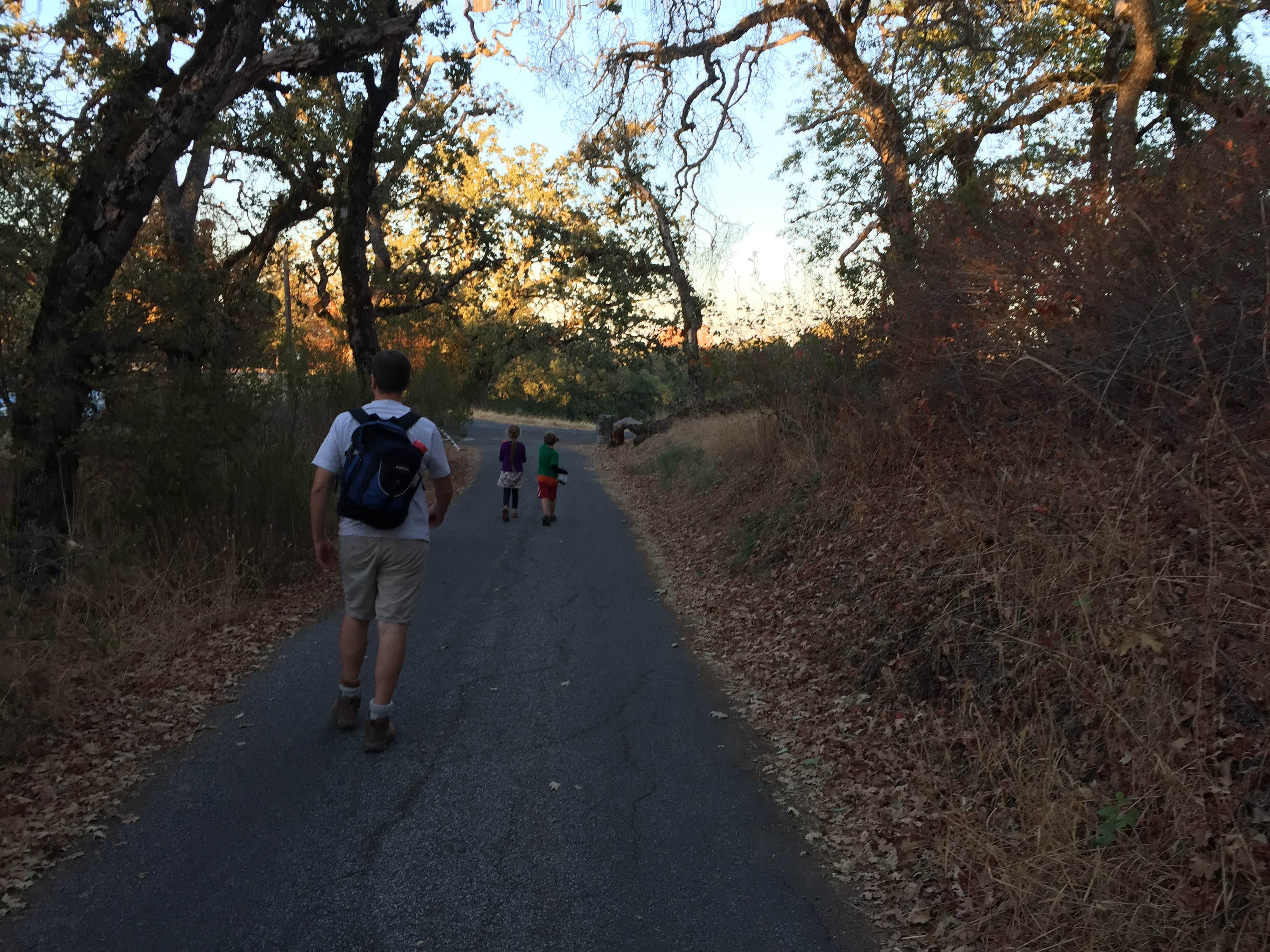 Camper submitted image from Oak Point Campground — Fremont Peak State Park - 2