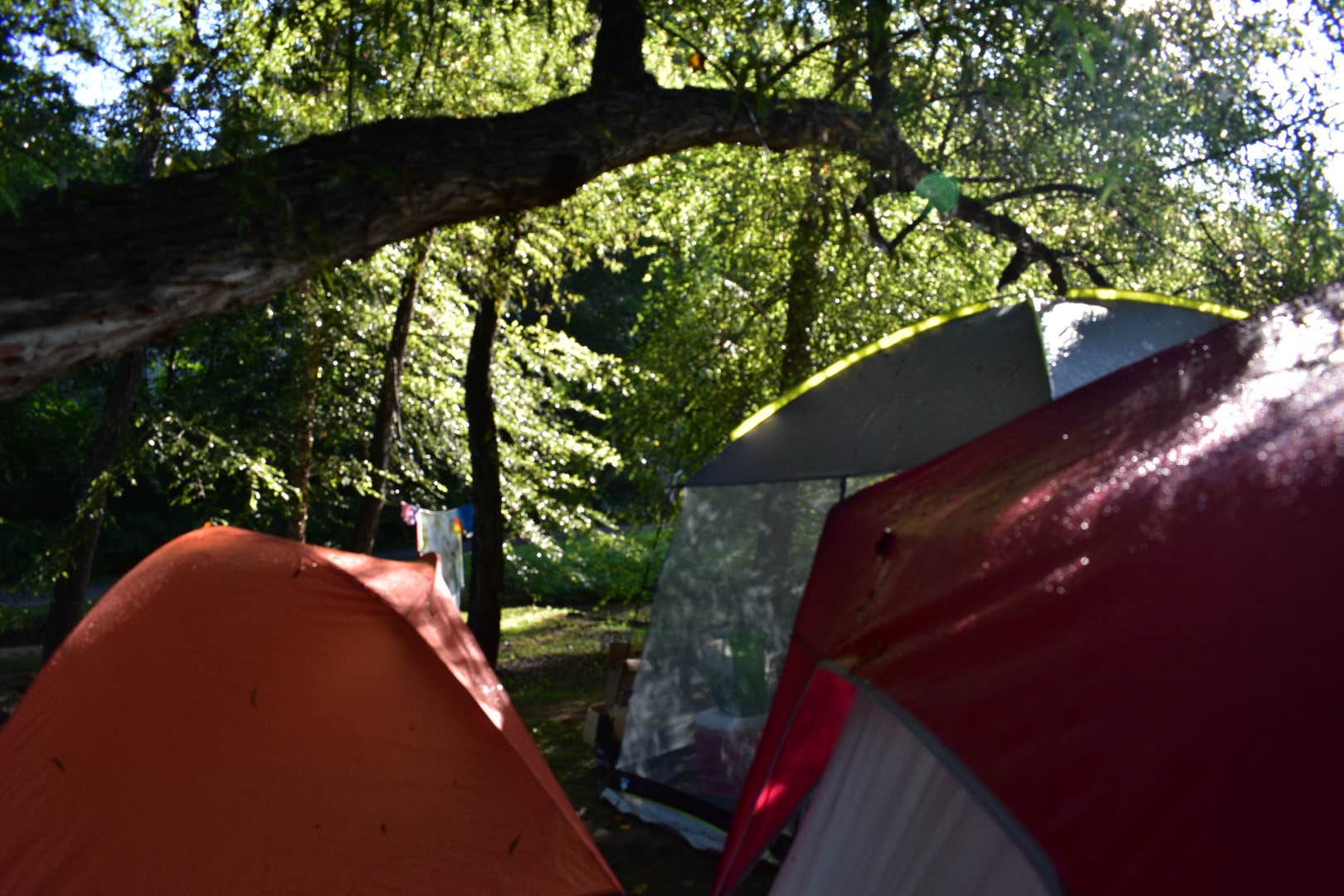 Kimberly R.'s photo at Hitching Post Campground near Landrum, SC