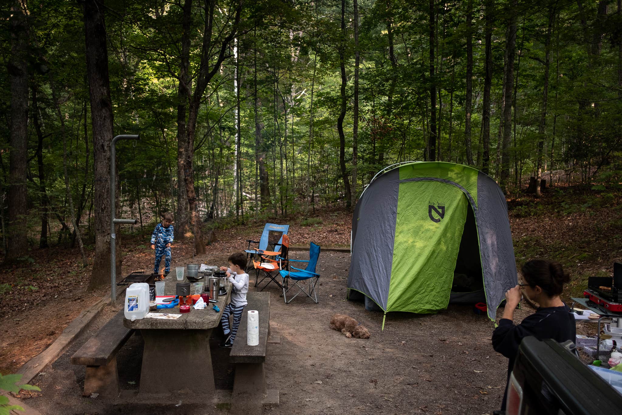 Camper-submitted photo at Lake Powhatan — National Forests In North Carolina near Swannanoa, NC