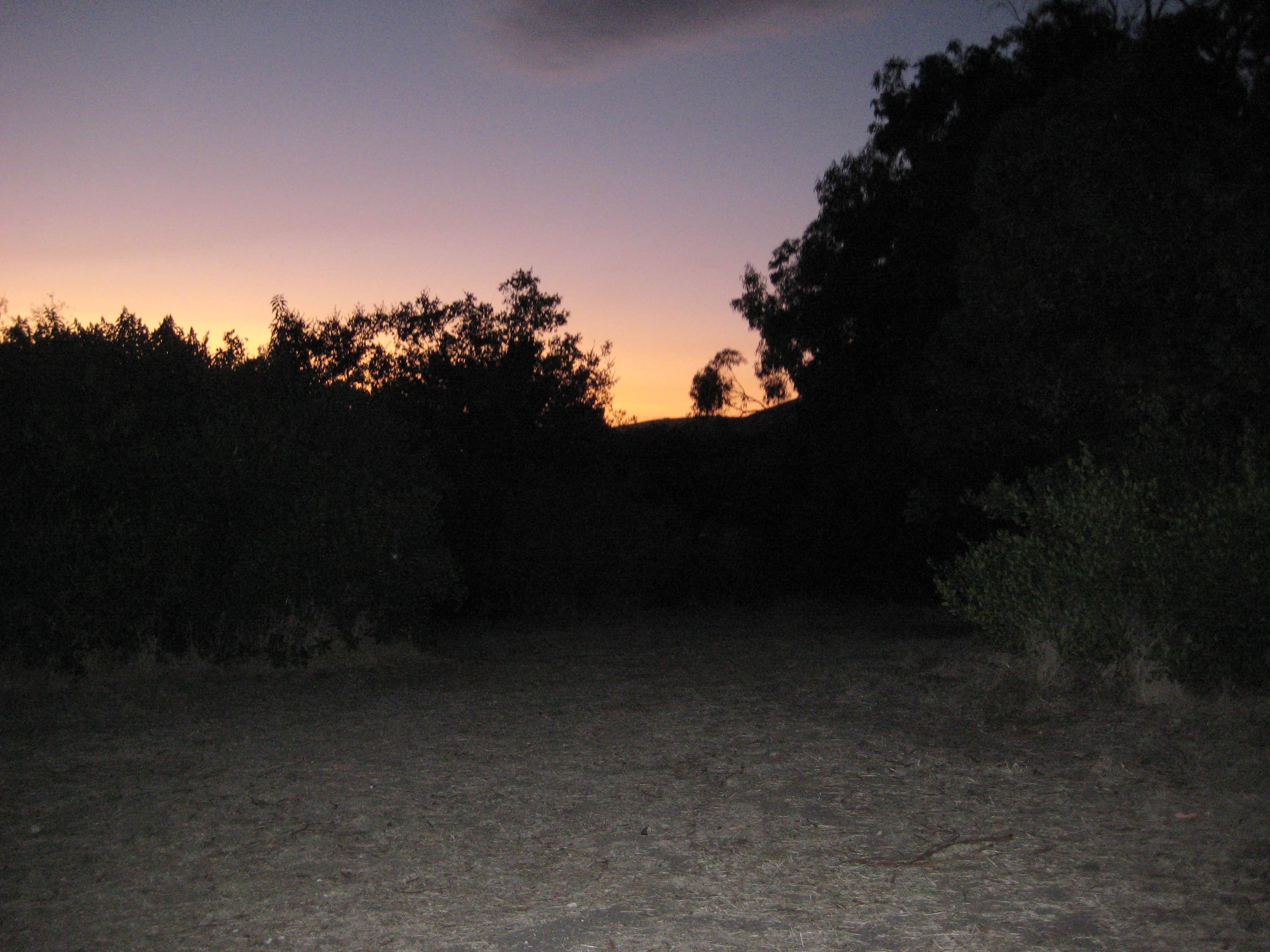 Camper submitted image from El Capitán State Beach Campground - 5