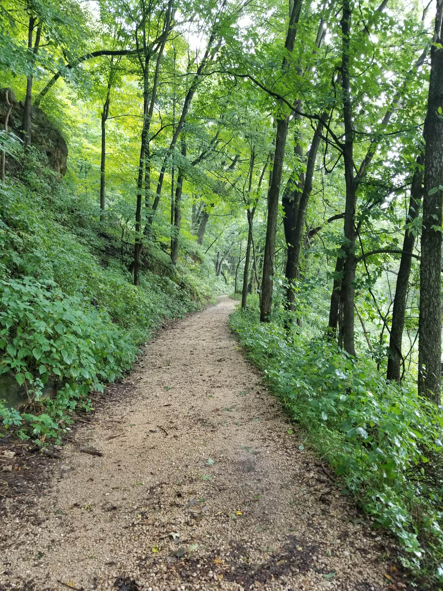 Camper-submitted photo at Eden Valley Refuge near Wyoming, IA
