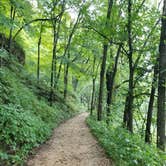 Review photo of Eden Valley Refuge by Linsey M., August 28, 2018