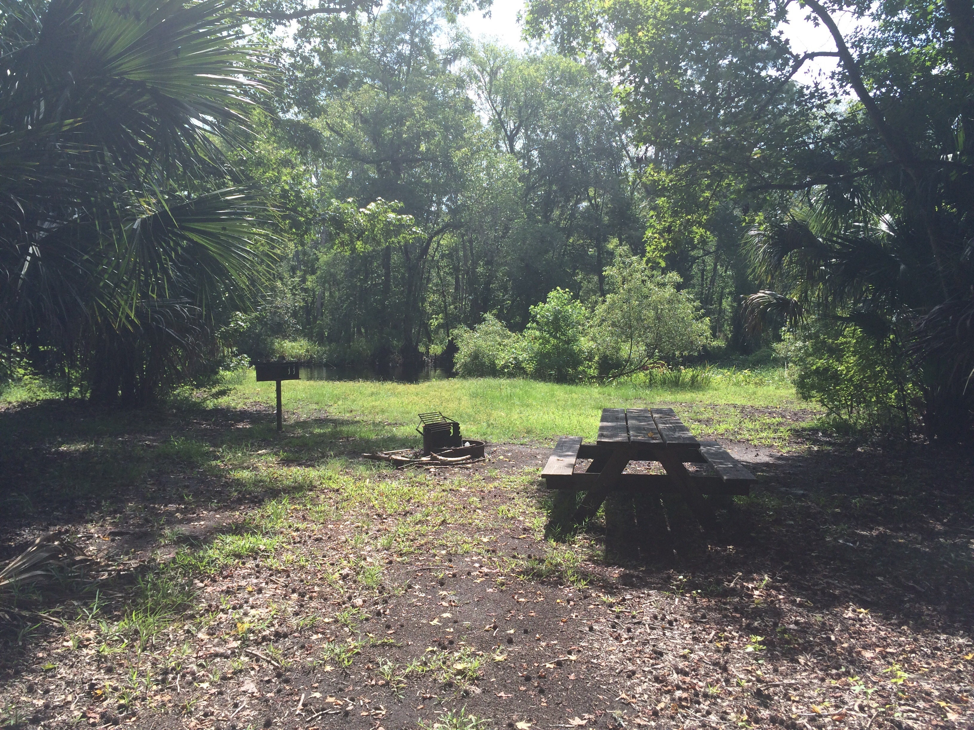 Camper submitted image from Seminole State Forest - Moccasin Camp - 1