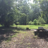 Review photo of Seminole State Forest - Moccasin Camp by Billy A., June 30, 2015