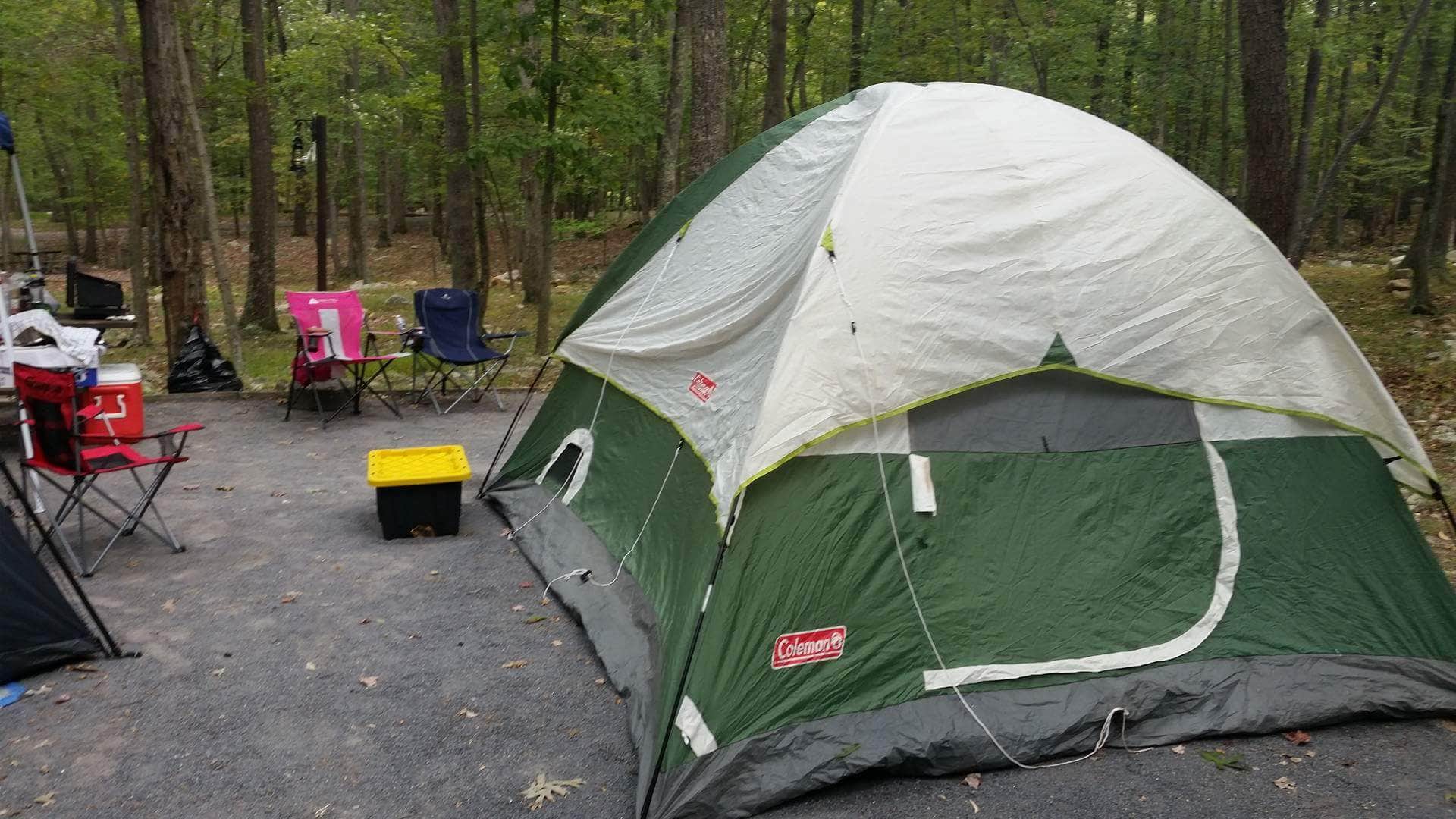 Wendi C.'s photo at Trout Pond Recreation Area near Orkney Springs, VA