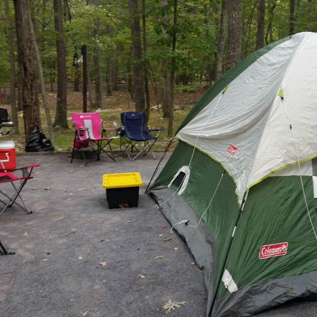 Trout Pond Recreation Area Camping Lost city, WV