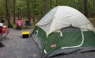 Wendi C.'s photo at Trout Pond Recreation Area near Baker, WV