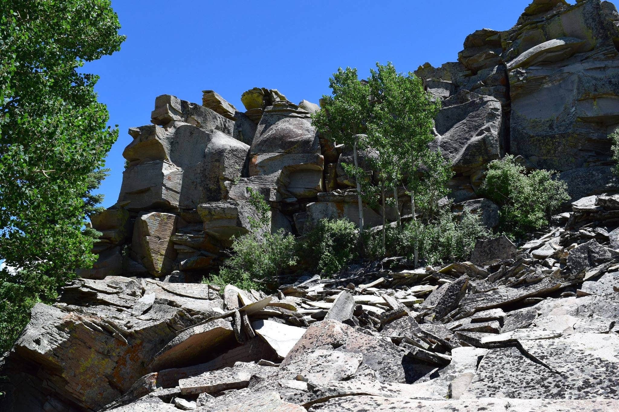 Camper-submitted photo at Cimarron Campground near Cimarron, NM