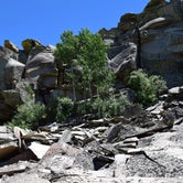 Review photo of Cimarron Campground by Terry R., August 28, 2018