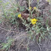 Review photo of Boreas Pass Section House by Tina W., August 28, 2018