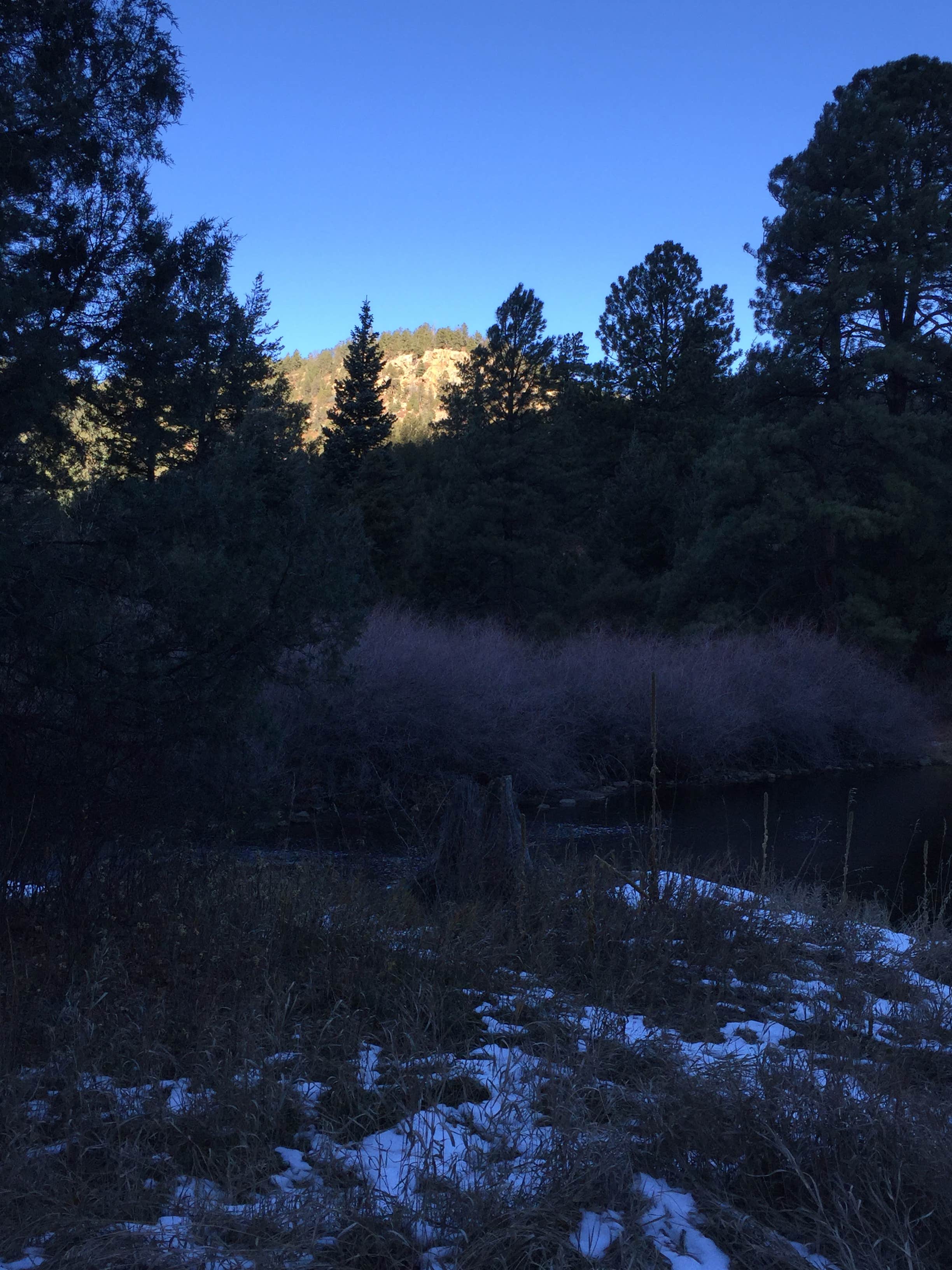 Camper-submitted photo at Tolby Campground — Cimarron Canyon State Park near Ranchos de Taos, NM