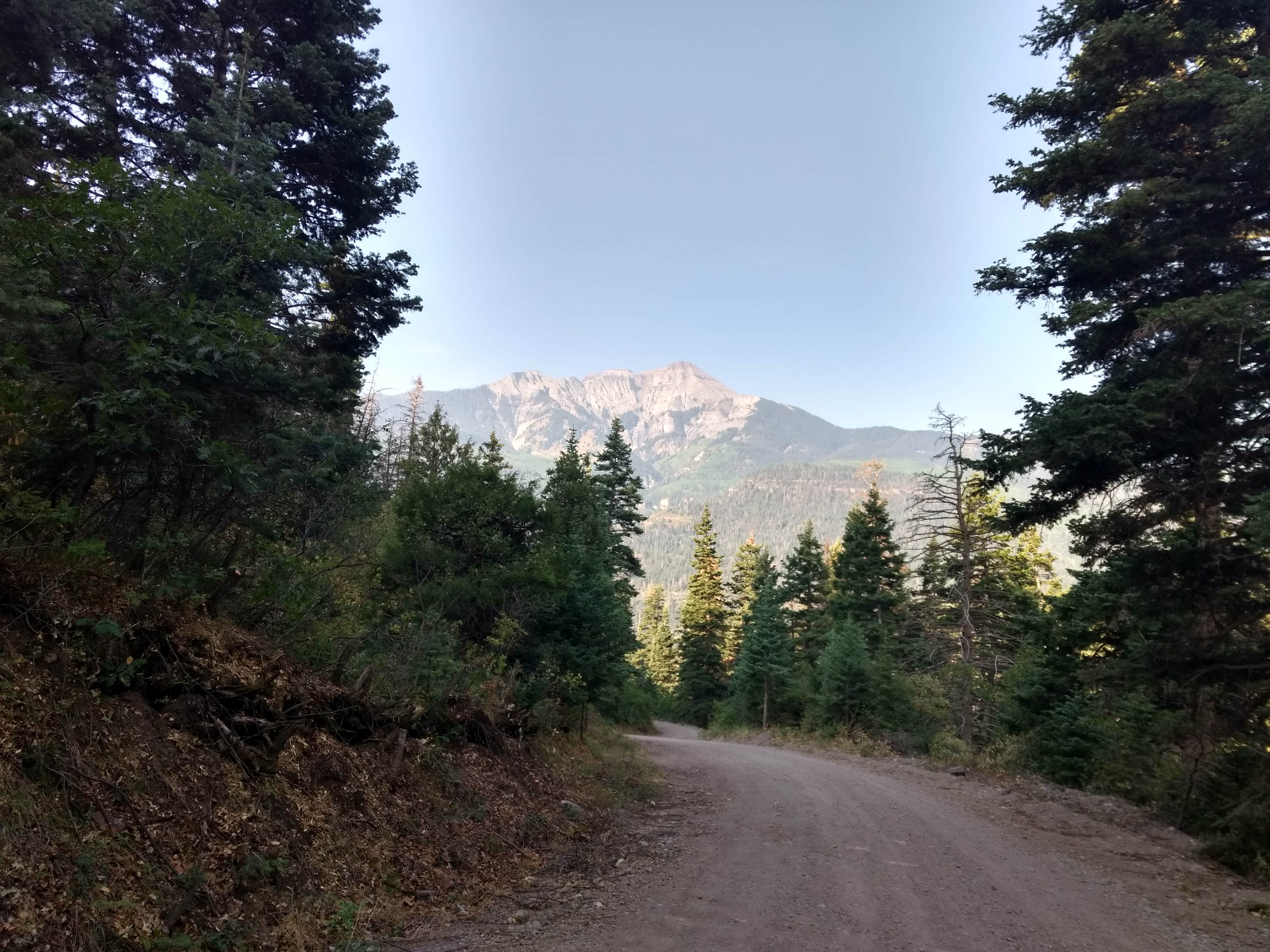 Camper-submitted photo at County Road 14, Dexter Creek Backcountry near Ouray, CO
