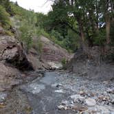 Review photo of County Road 14, Dexter Creek Backcountry by Doug D., August 29, 2018