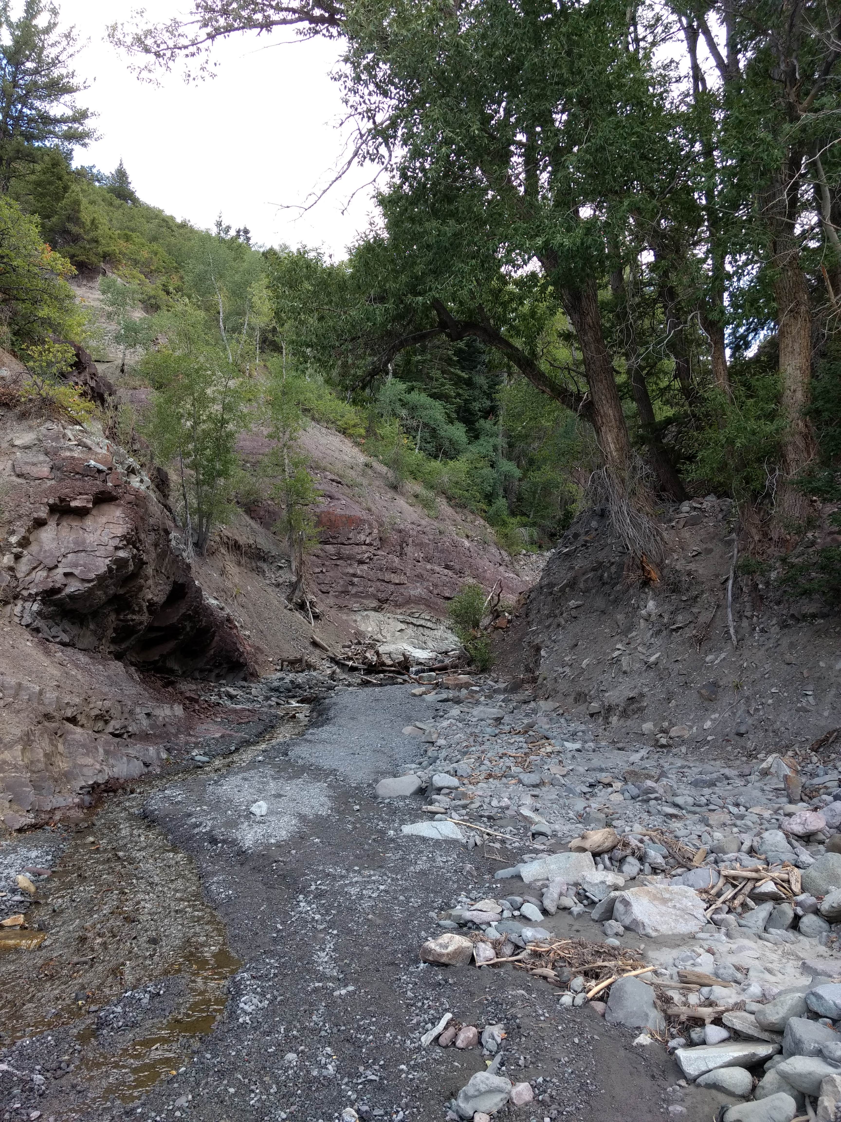 Camper submitted image from County Road 14, Dexter Creek Backcountry - 4