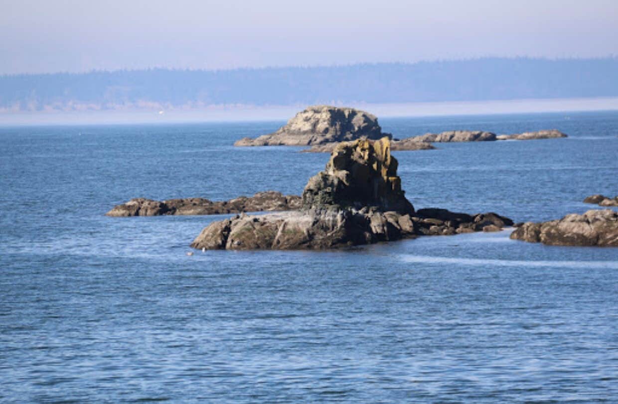 Camper-submitted photo at Larrabee State Park Campground near Ferndale, WA