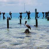 Review photo of Garden Key Campground — Dry Tortugas National Park by Jennifer A., August 29, 2018