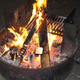 Review photo of Upper Pines Campground — Yosemite National Park by phillip L., August 1, 2016