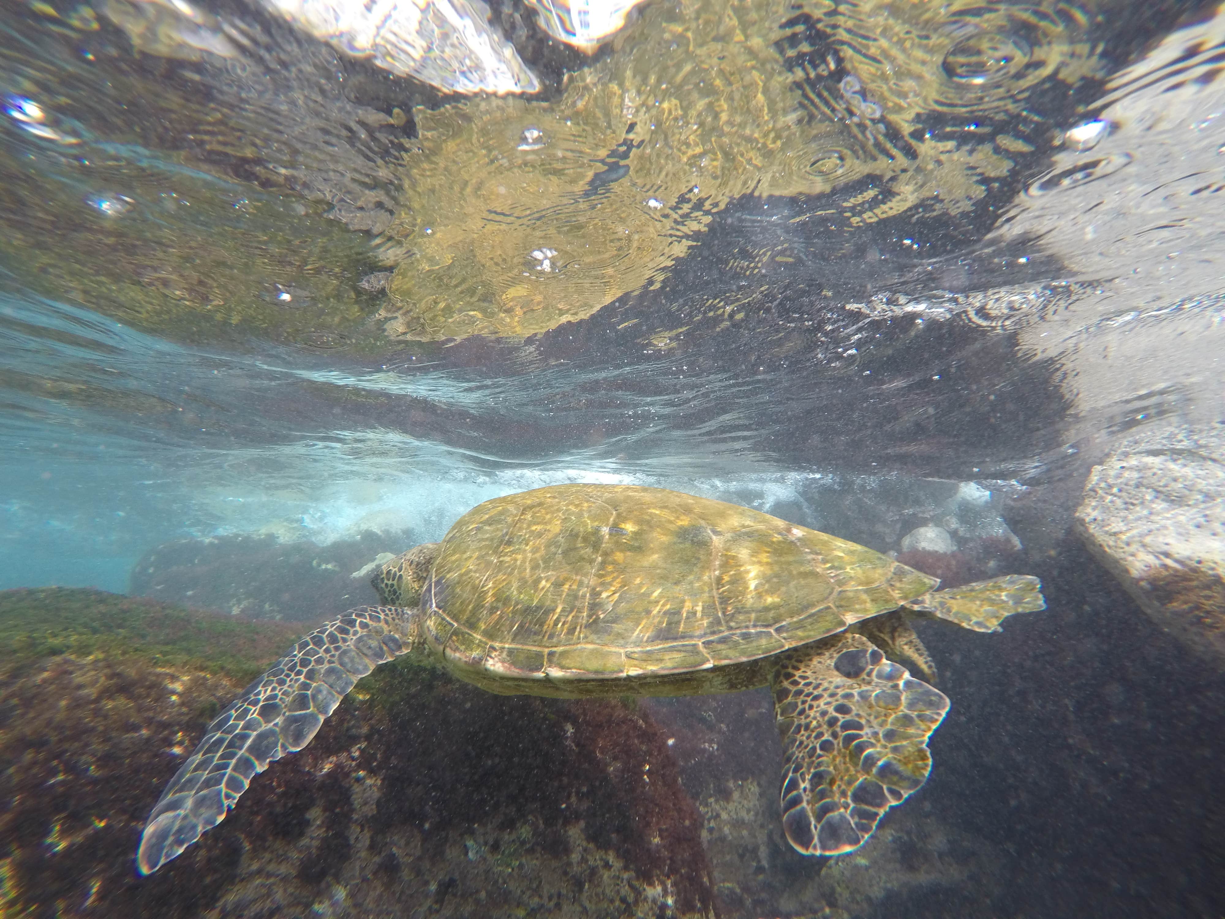 Camper submitted image from Cinnamon Bay Beach And Campground — Virgin Islands National Park - 5