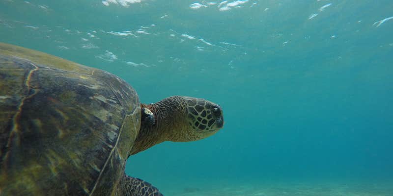 Camper submitted image from Kanaha Beach Park