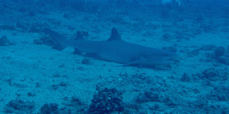 Camper submitted image from Manuka State Wayside