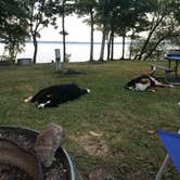 Review photo of Lake Gogebic State Park Campground by Andrea B., August 29, 2018