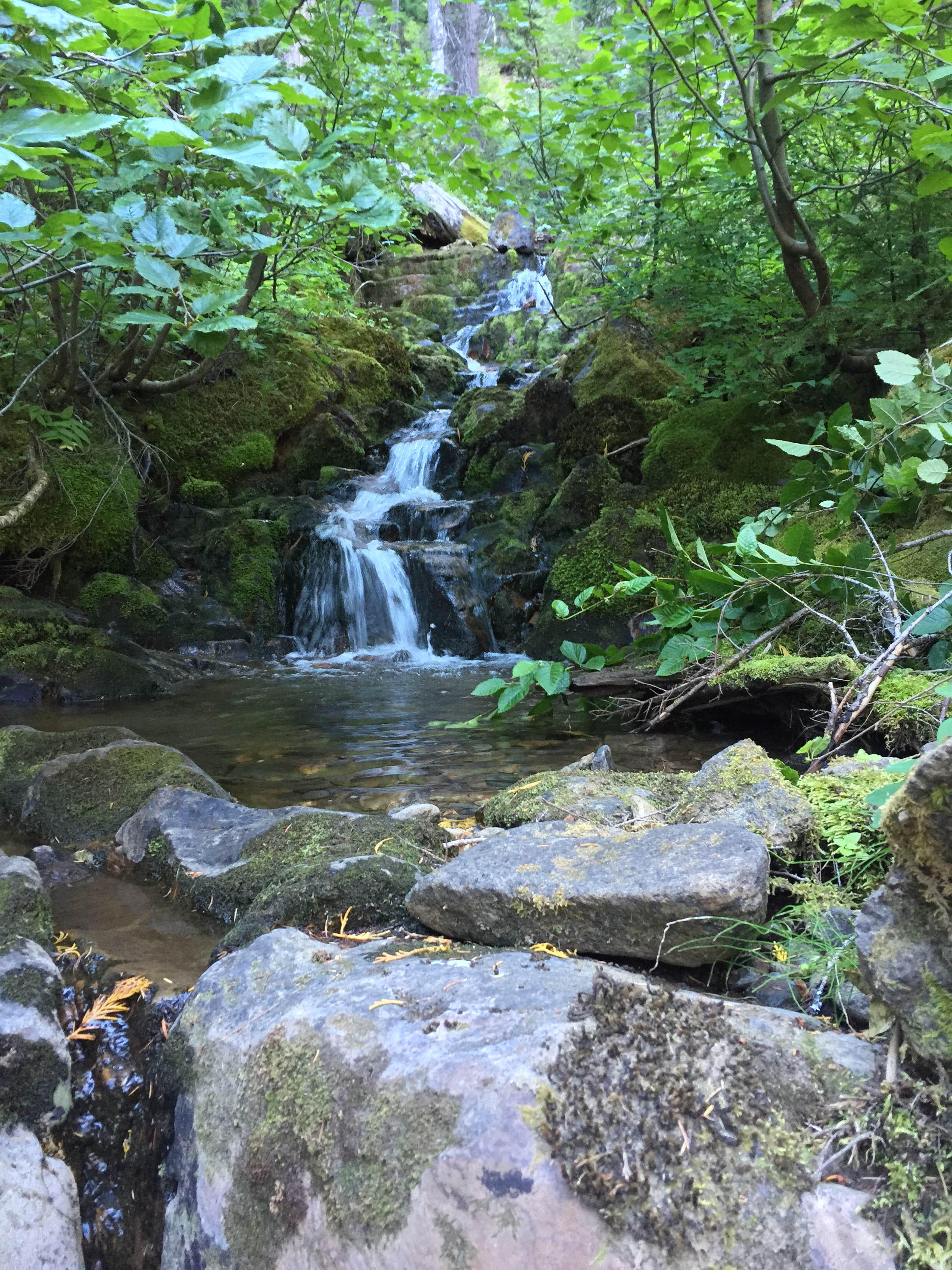 Camper-submitted photo at Big Pines Campground - Yakima River Canyon near Toppenish, WA