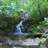 Review photo of Big Pines Campground - Yakima River Canyon by Sasha W., August 29, 2018