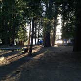 Review photo of Cimarron Campground by phillip L., August 1, 2016