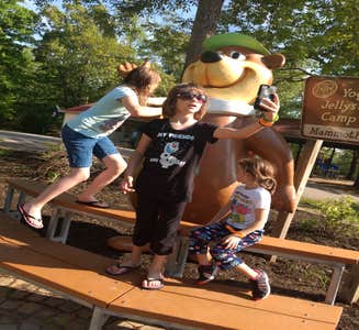 Camper-submitted photo from Yogi Bear's Jellystone Park at Mammoth Cave