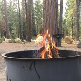 Review photo of Cimarron Campground by phillip L., August 1, 2016