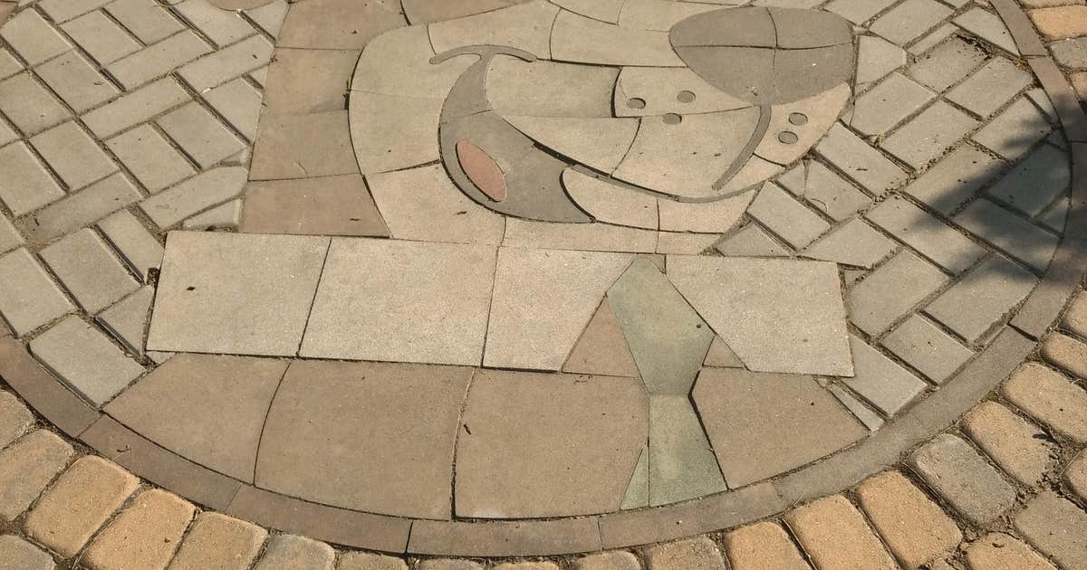 Yogi Bear's Jellystone Park at Mammoth Cave