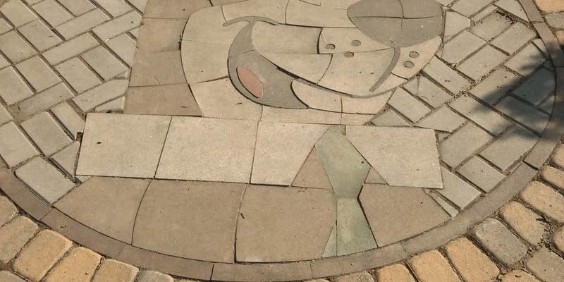 Camper submitted image from Yogi Bear's Jellystone Park at Mammoth Cave