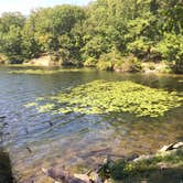 Review photo of Lake Taghkanic State Park Campground by Rosie R., August 29, 2018
