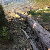 Review photo of Lake Taghkanic State Park Campground by Rosie R., August 29, 2018