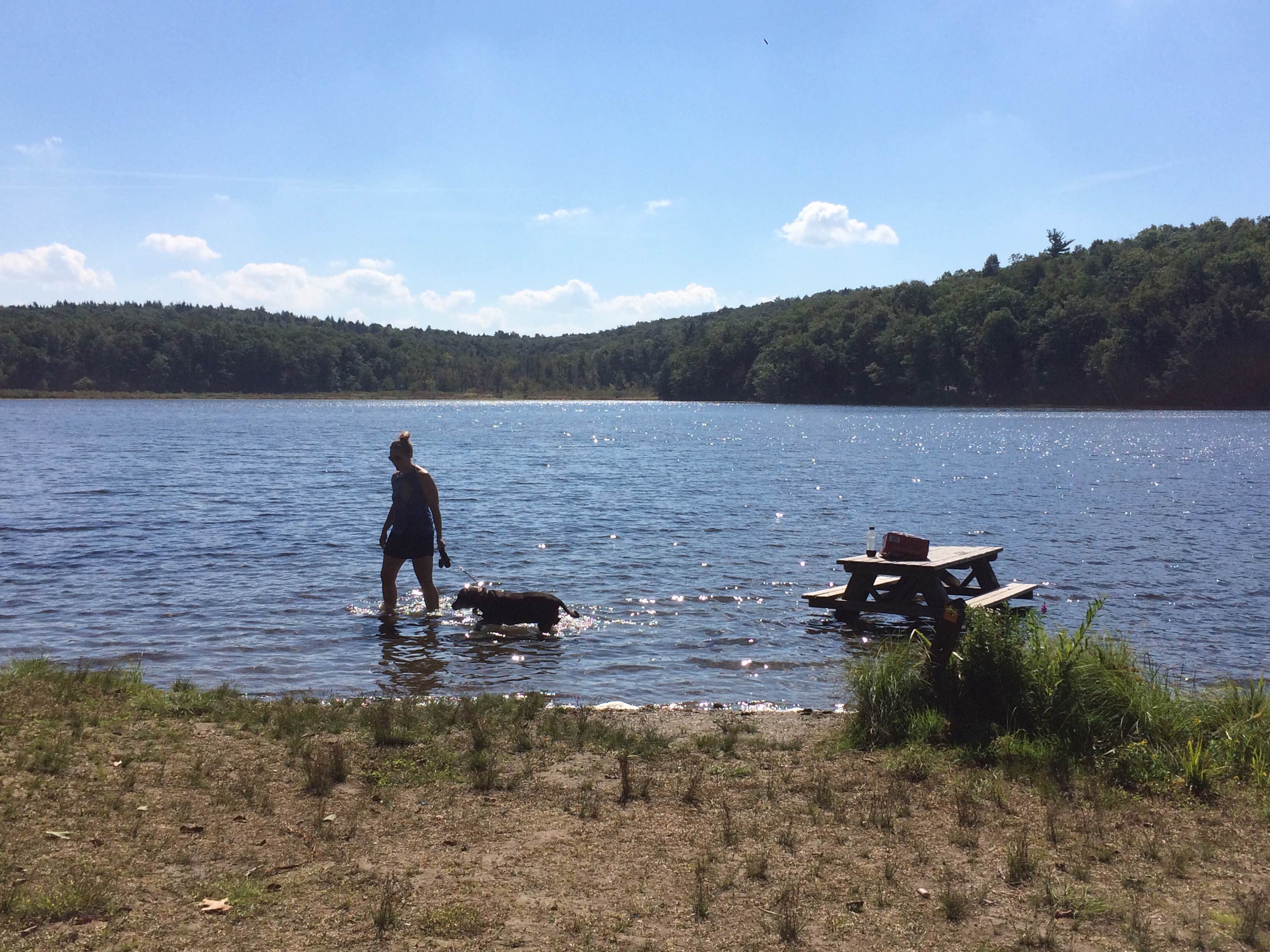 Camper-submitted photo at Lake Taghkanic State Park Campground near Hunter, NY