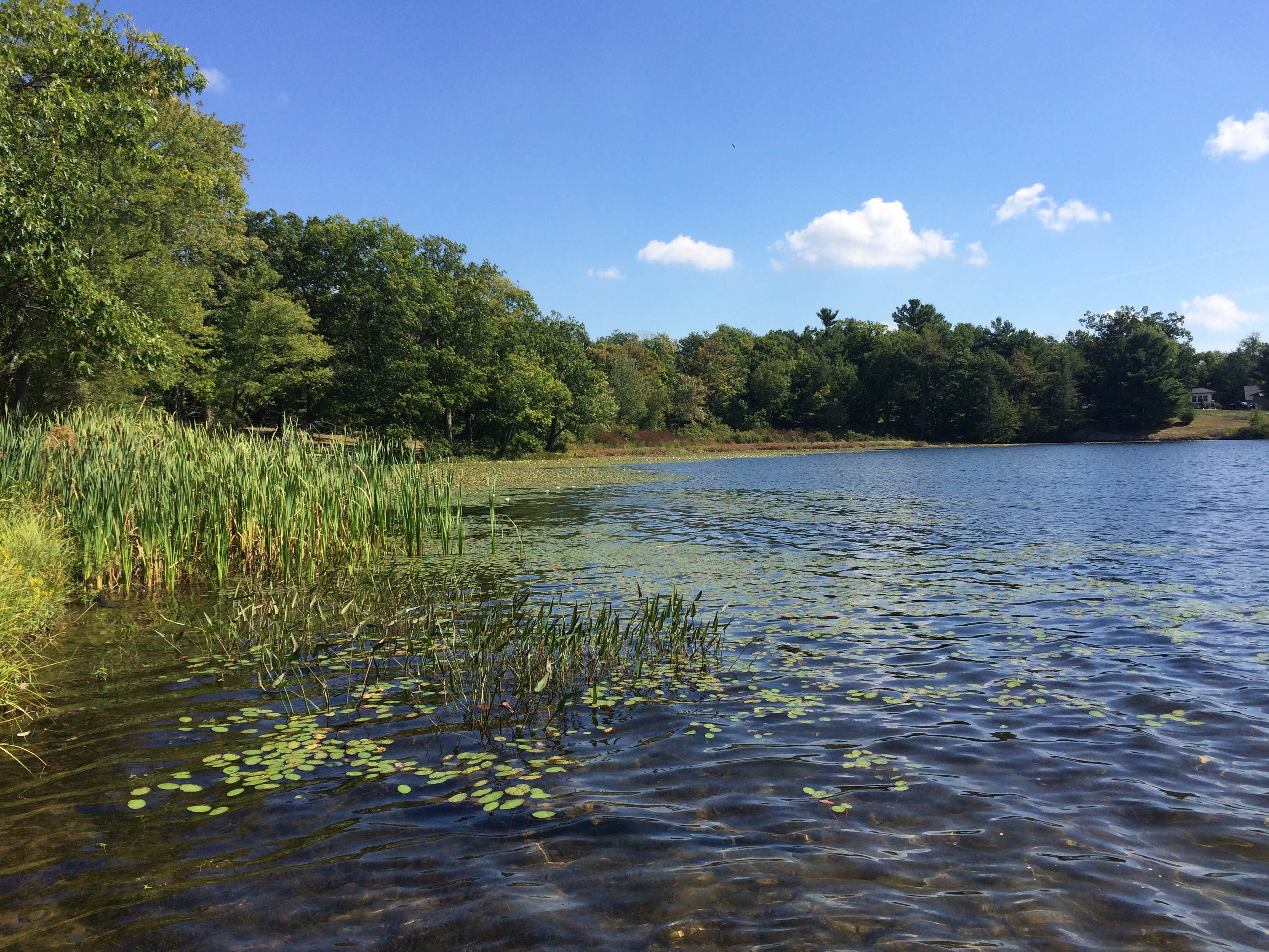 Camper-submitted photo at Lake Taghkanic State Park Campground near Hunter, NY