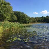 Review photo of Lake Taghkanic State Park Campground by Rosie R., August 29, 2018