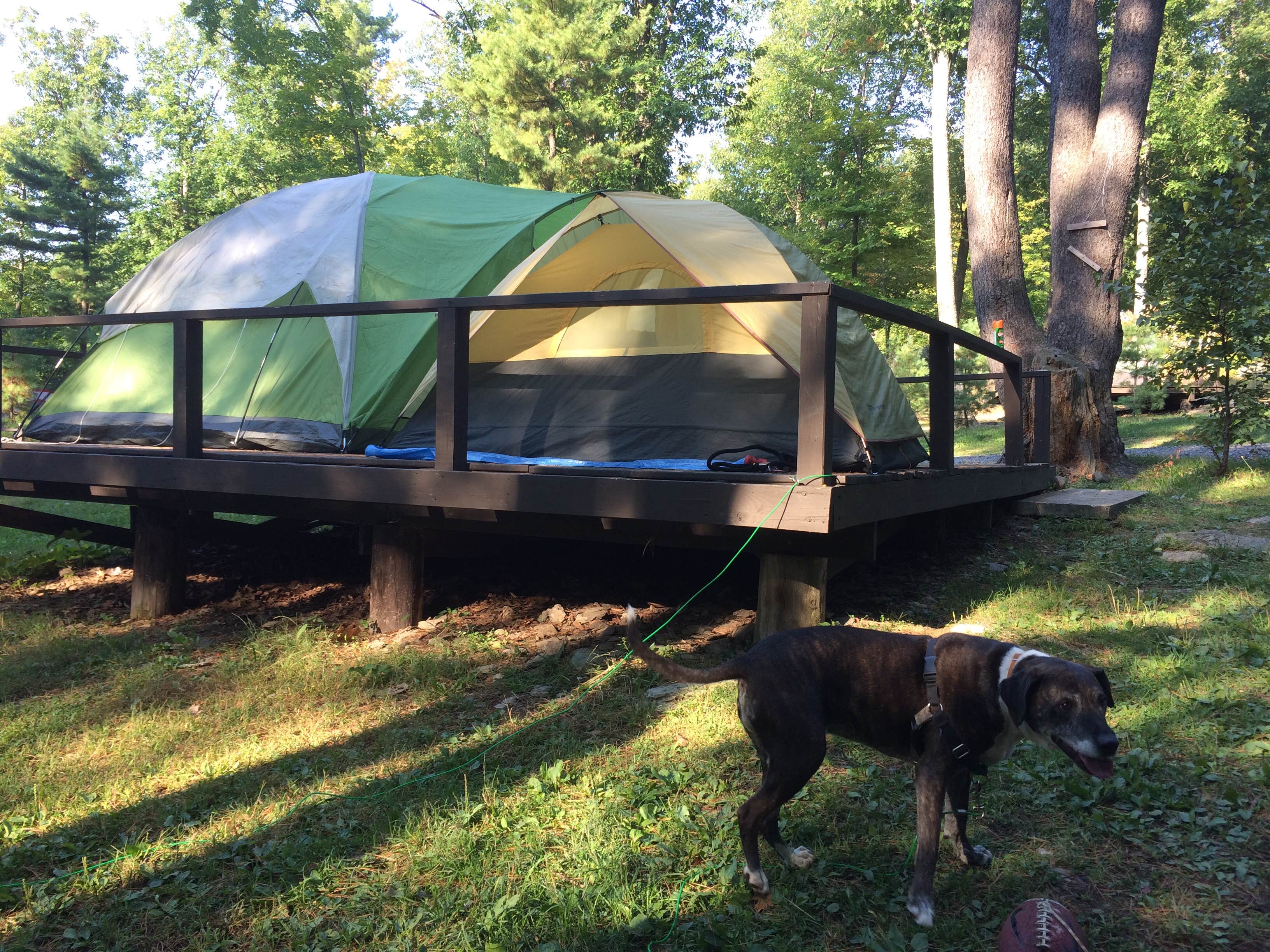 Rosie R.'s photo at Lake Taghkanic State Park Campground near Craryville, NY