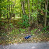 Review photo of South Nicolet Bay Campground — Peninsula State Park by Meg  S., June 30, 2015