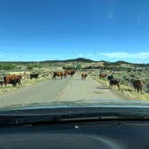 Review photo of The Views RV Park & Campground by Tanner S., August 29, 2018