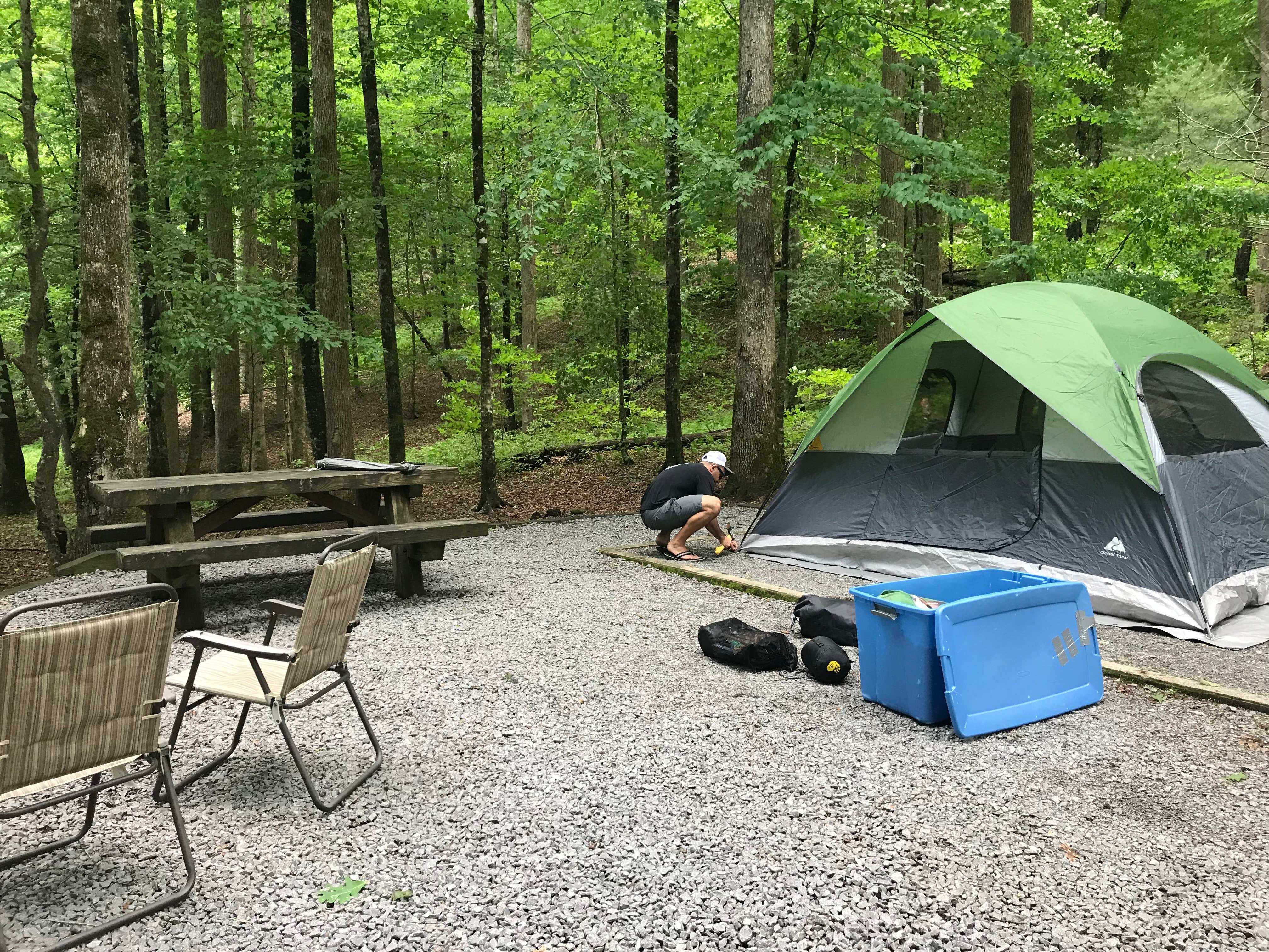 Savannah G.'s photo at Davidson River Campground near Etowah, NC