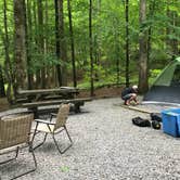 Review photo of Davidson River Campground by Savannah G., August 29, 2018