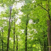Review photo of Davidson River Campground by Savannah G., August 29, 2018