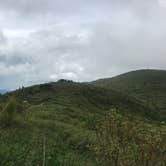 Review photo of Davidson River Campground by Savannah G., August 29, 2018