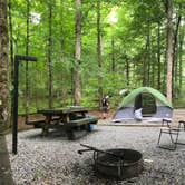 Review photo of Davidson River Campground by Savannah G., August 29, 2018