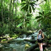 Review photo of Davidson River Campground by Savannah G., August 29, 2018