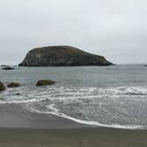 Review photo of Harris Beach State Park Campground by Lacie F., August 29, 2018
