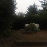 Review photo of Harris Beach State Park Campground by Lacie F., August 29, 2018