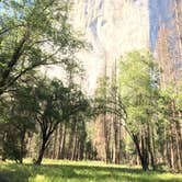 Review photo of Upper Pines Campground — Yosemite National Park by Melissa D., August 29, 2018