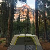 Review photo of Wawona Campground — Yosemite National Park by Savannah G., August 29, 2018